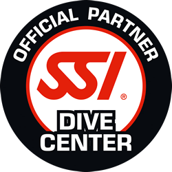 the official driver's driver's badge