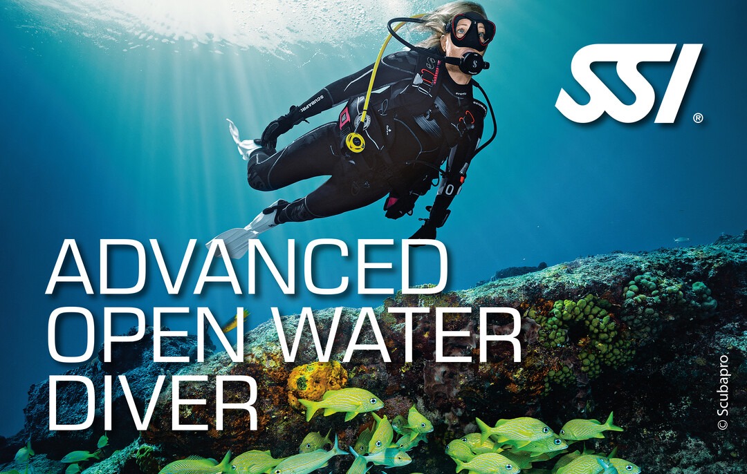 a scuba diver in a diving suit with a scuba diver in the background
