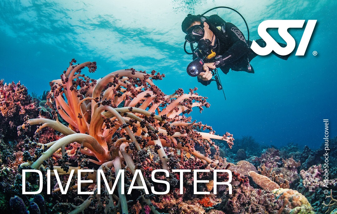 a scuba diver in a dive in the ocean
