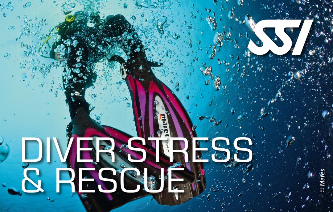 a person in a diving suit and a scuba mask