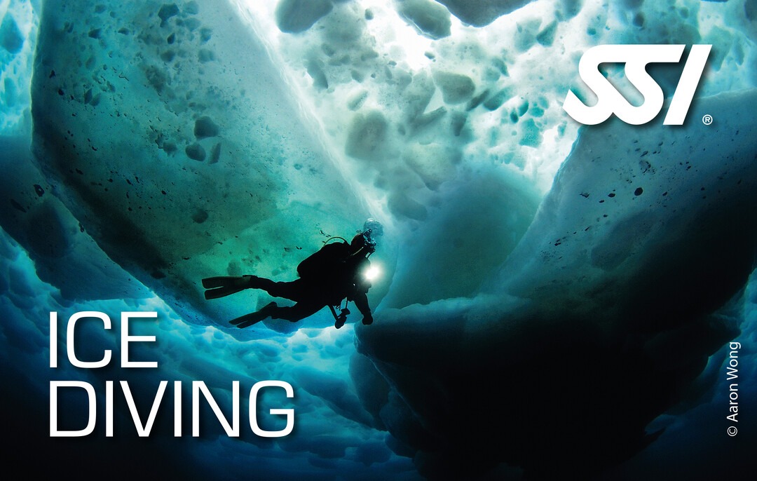 a person in a wetsuit is diving in the water