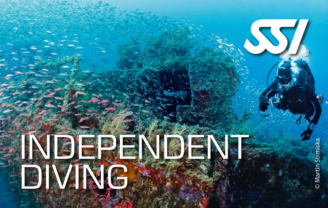 a scuba diver in a diving suit and scuba gear
